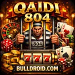 Qaidi 804 Game